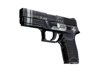 P250 Re.built
